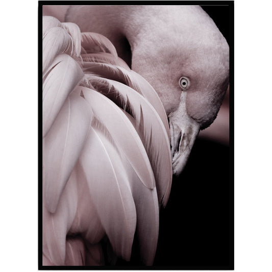 Poster Flamingo - Dekortorget