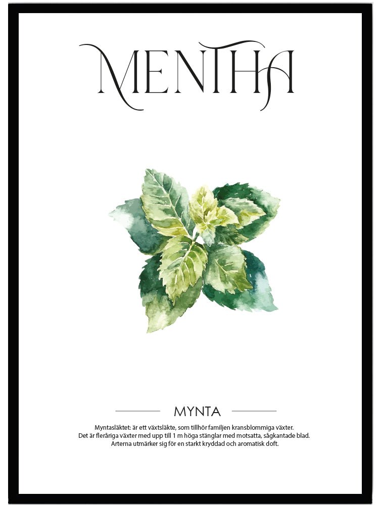 Poster Mynta - Dekortorget