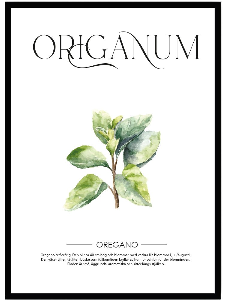 Poster Oregano - Dekortorget