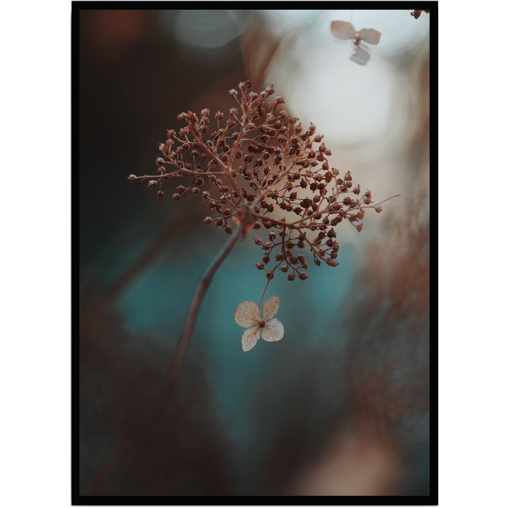 Poster Dry flower I - Dekortorget