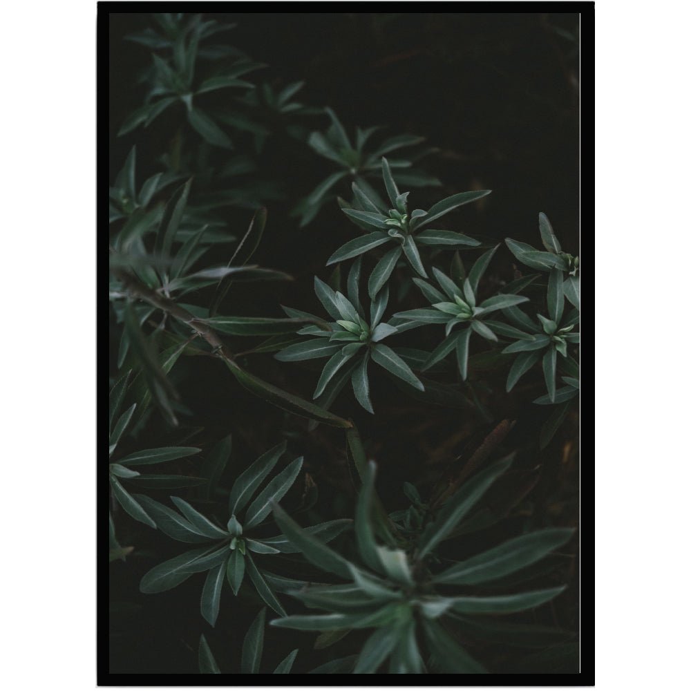 Poster Leaves 2 - Dekortorget