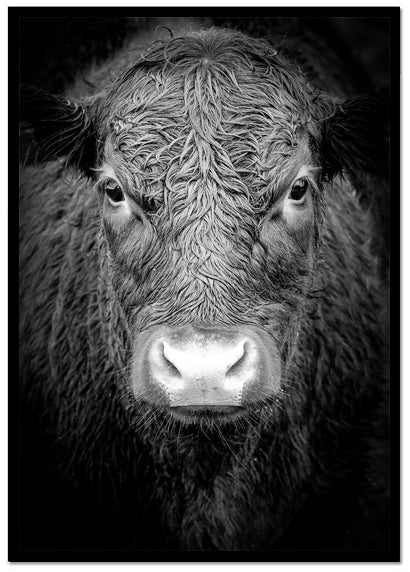 Poster Highland II - Dekortorget