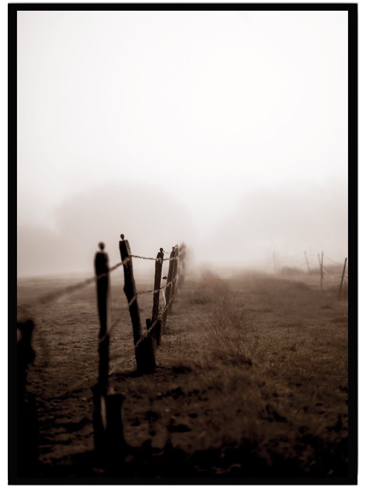 Poster Woodland - Dekortorget