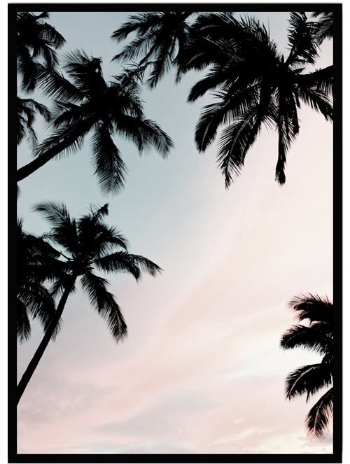 Poster Palmer i solnedgång - Dekortorget