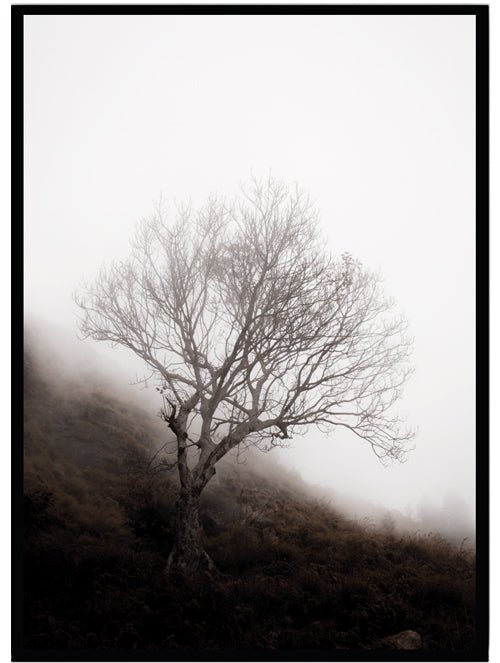 Poster Woodland 3 - Dekortorget