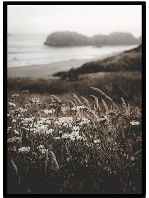 Poster Woodland by the sea - Dekortorget