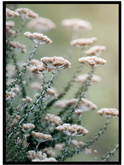 Poster Pink flowers - Dekortorget