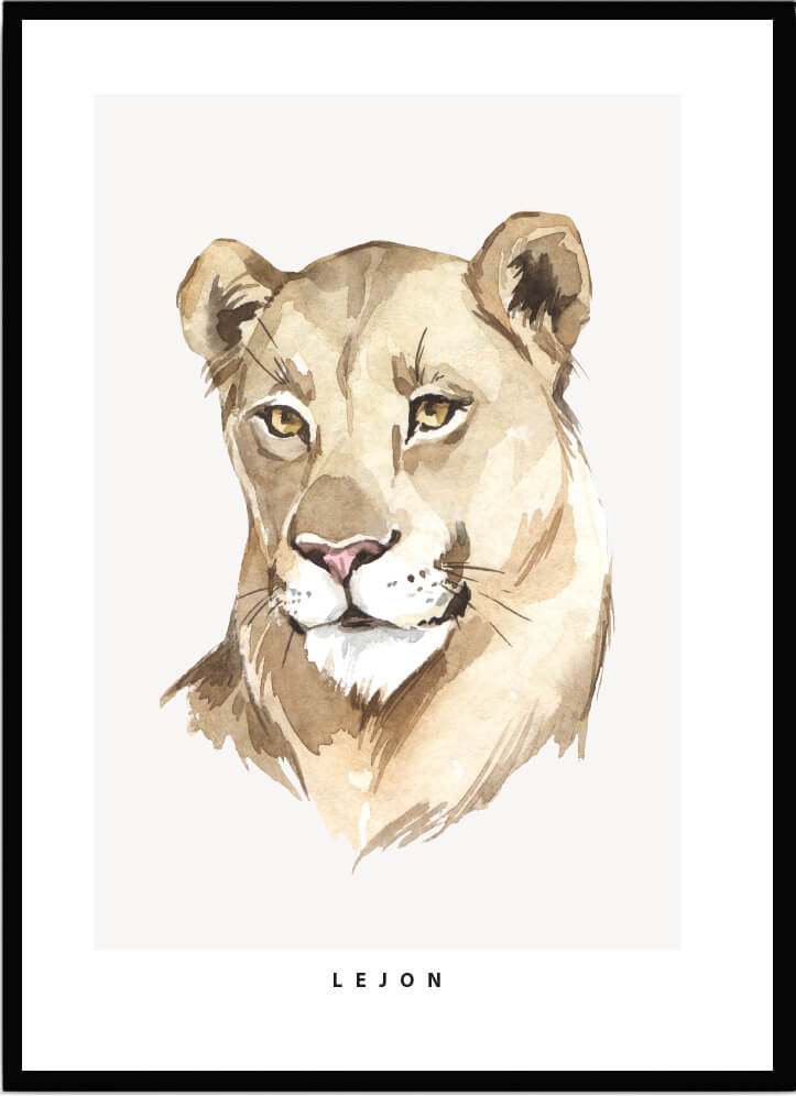 Poster Lejon - Dekortorget