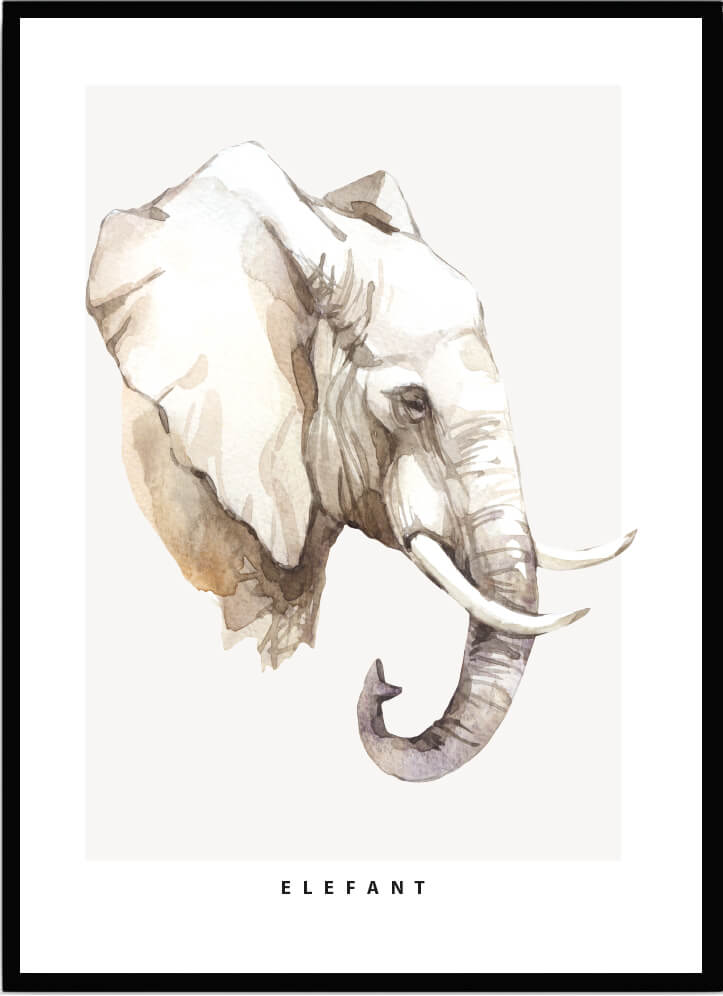 Poster Elefant - Dekortorget