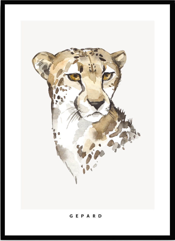 Poster Gepard - Dekortorget