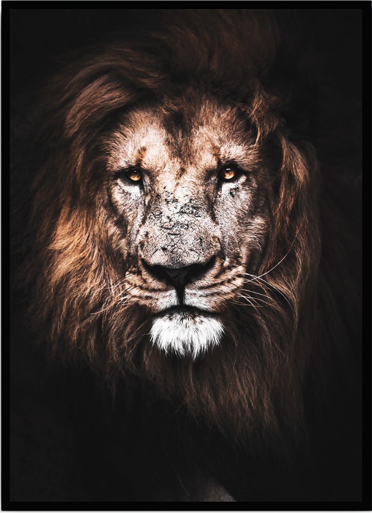 Poster Lion - Dekortorget