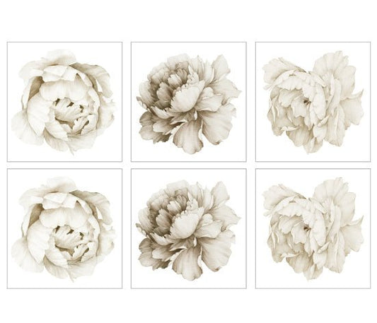 Kakeldekor pioner vit - Dekortorget