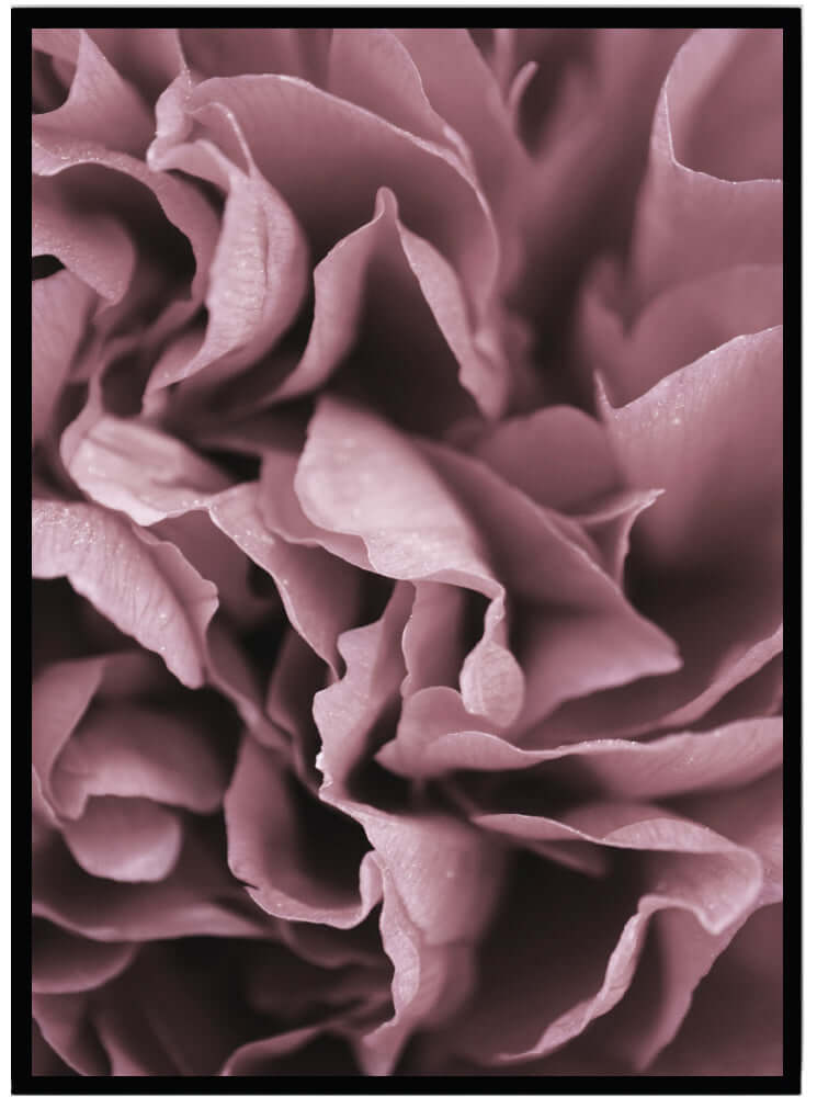 Posters blommor & blad - Dekortorget