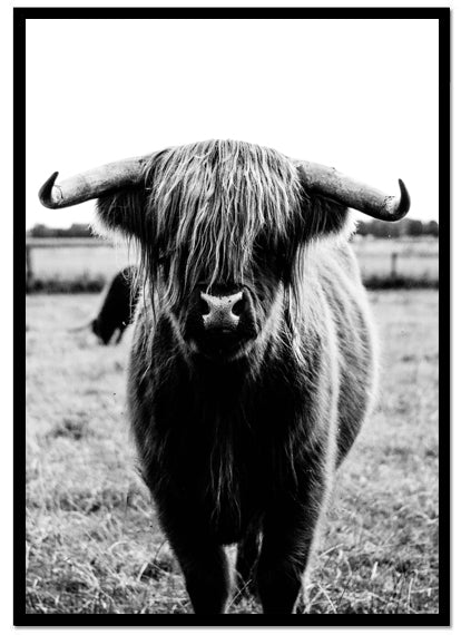 Poster Highland - Dekortorget