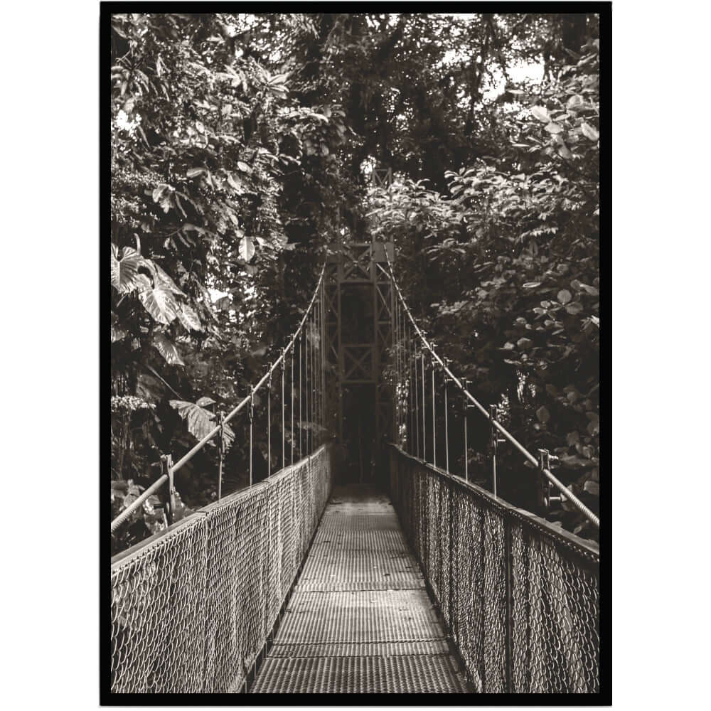 Poster Bridge in forest - Dekortorget
