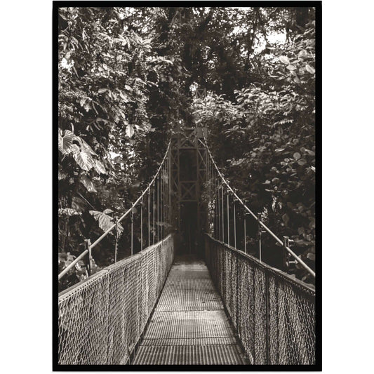 Poster Bridge in forest - Dekortorget