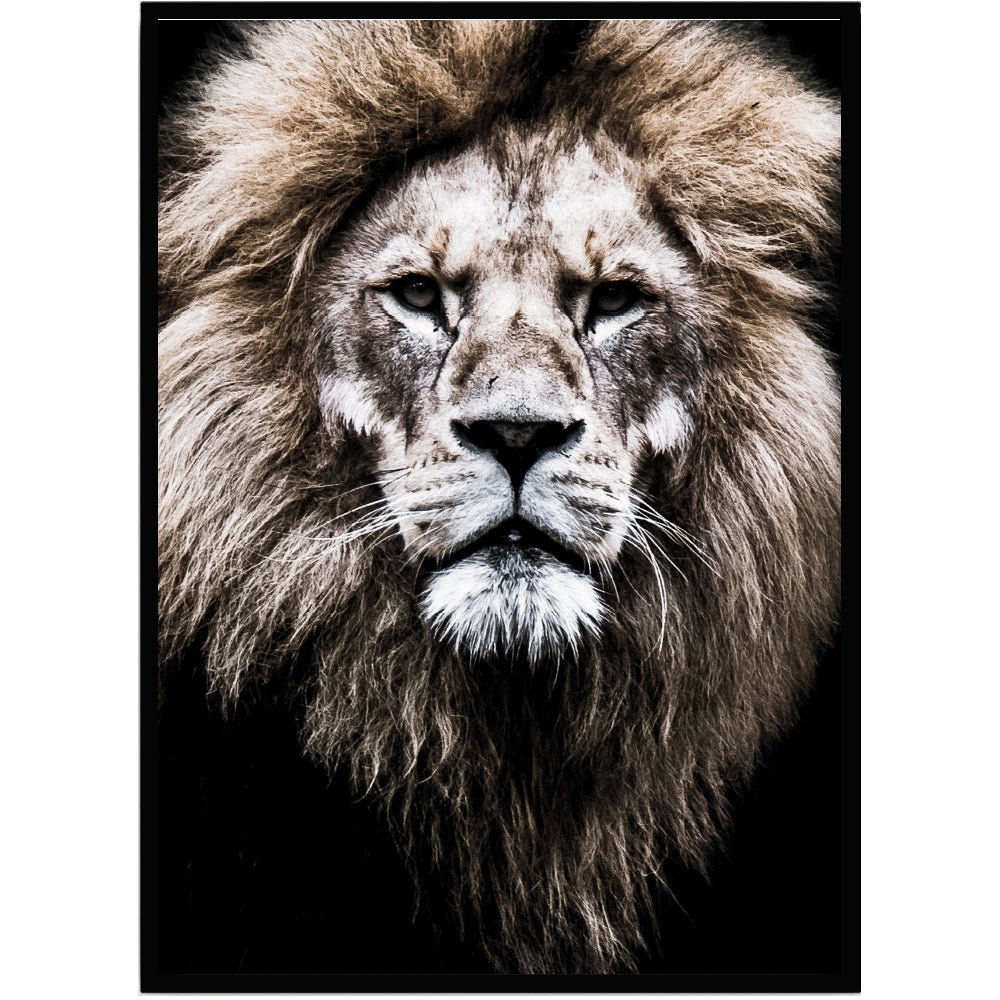 Poster Lejon - Dekortorget