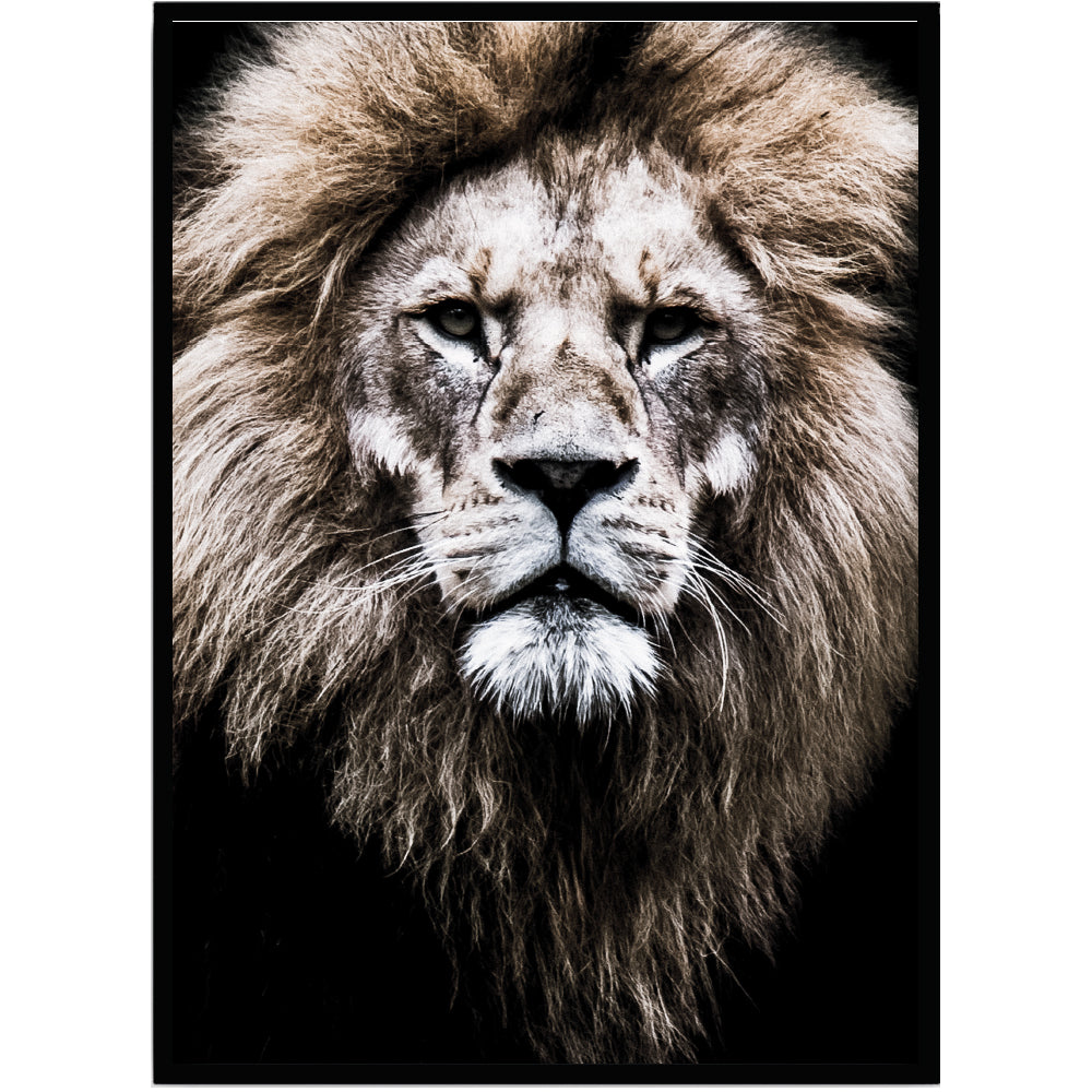 Poster Lejon