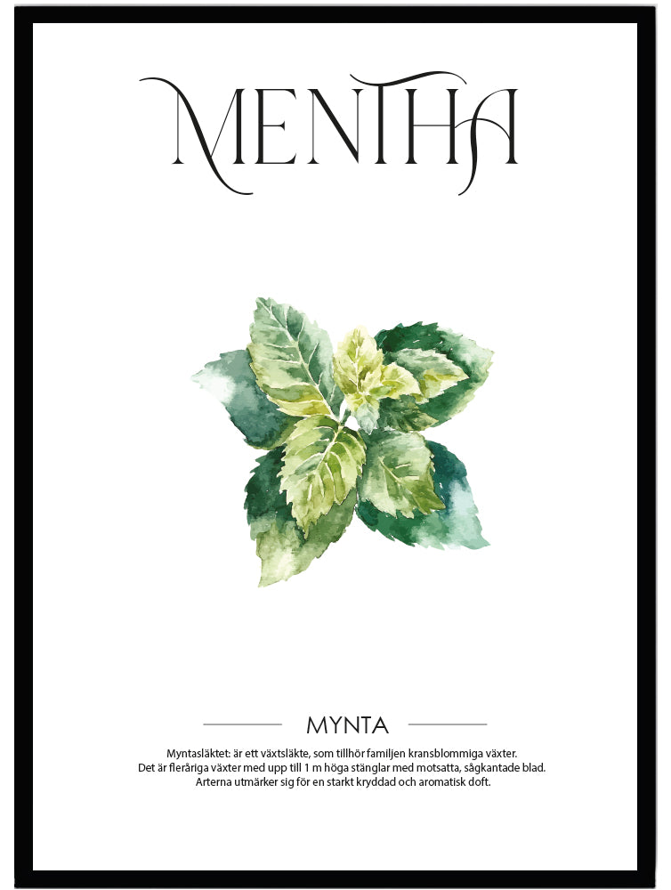 Poster Mynta