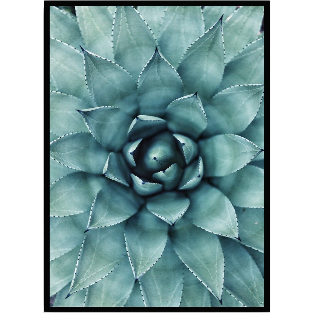 Poster Cactus - Dekortorget
