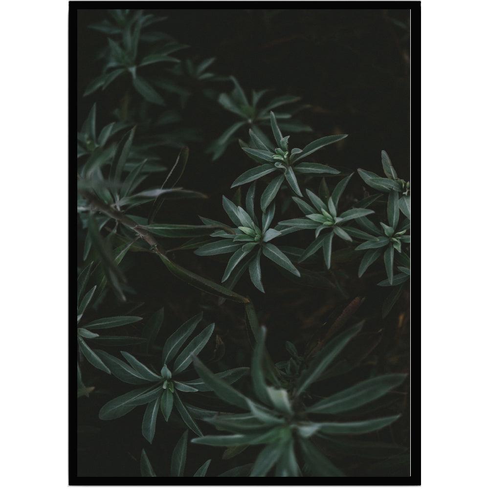 Poster Leaves 2