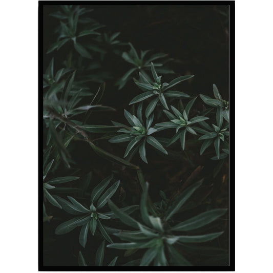 Poster Leaves 2 - Dekortorget