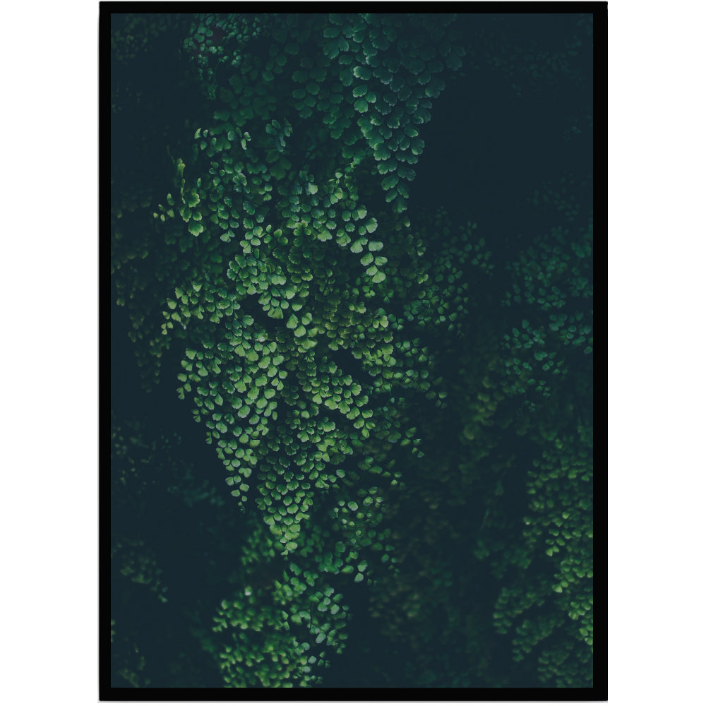 Poster Leaves 3