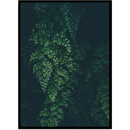 Poster Leaves 3 - Dekortorget