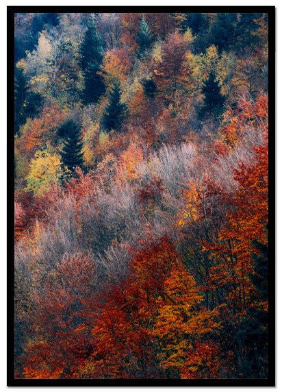Poster Forest red - Dekortorget