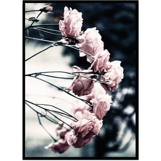 Poster Rosor på gren - Dekortorget