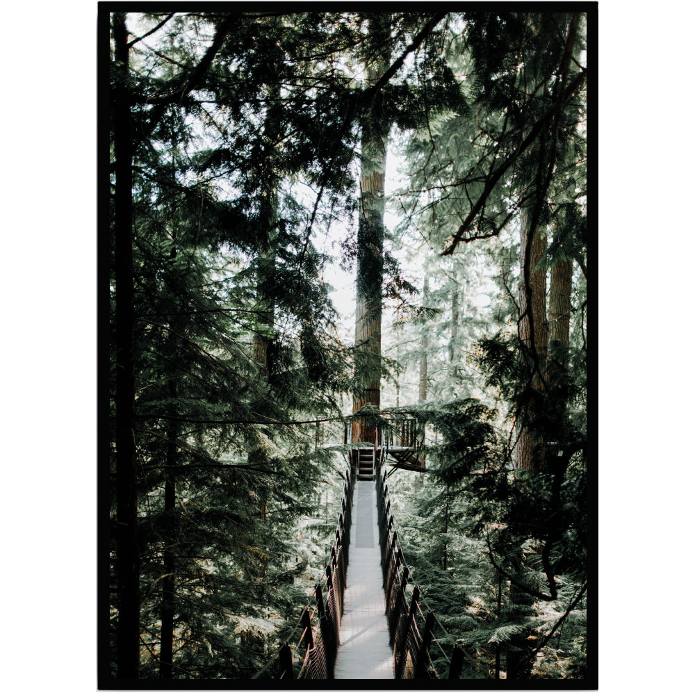 Poster Forest bridge