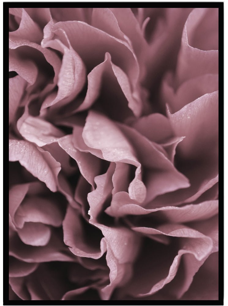 Poster Pink flower - Dekortorget