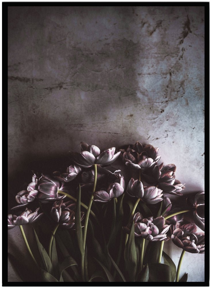 Poster Tulips - Dekortorget