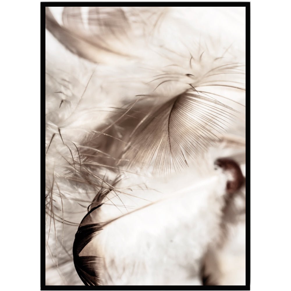 Poster Feathers - Dekortorget