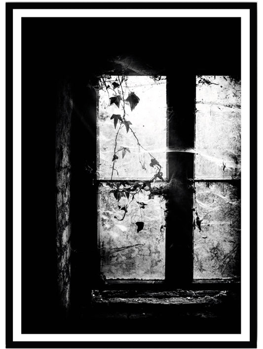 Poster Abandoned house - Dekortorget