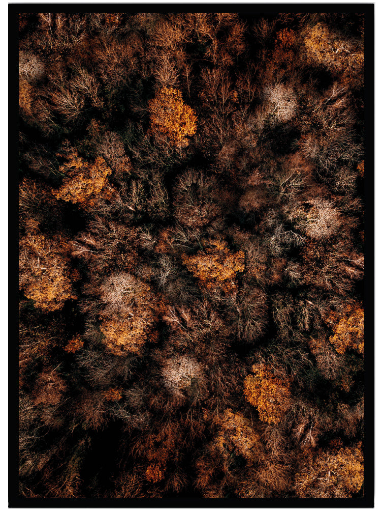 Poster Trees