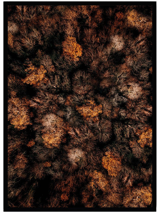 Poster Trees - Dekortorget