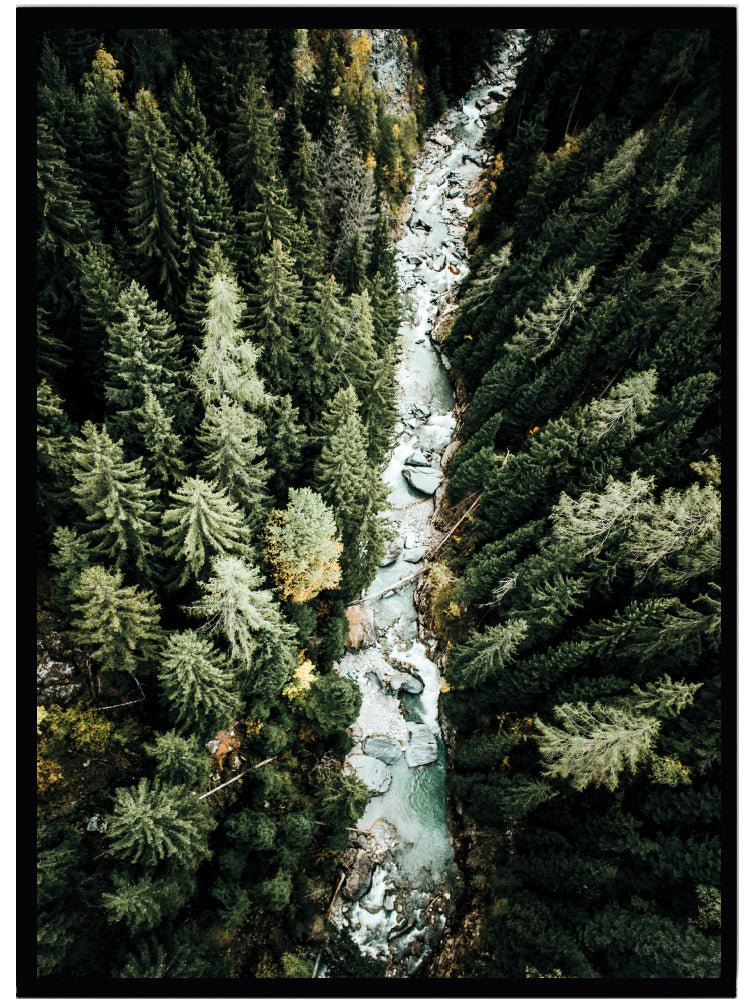 Poster River in forest - Dekortorget