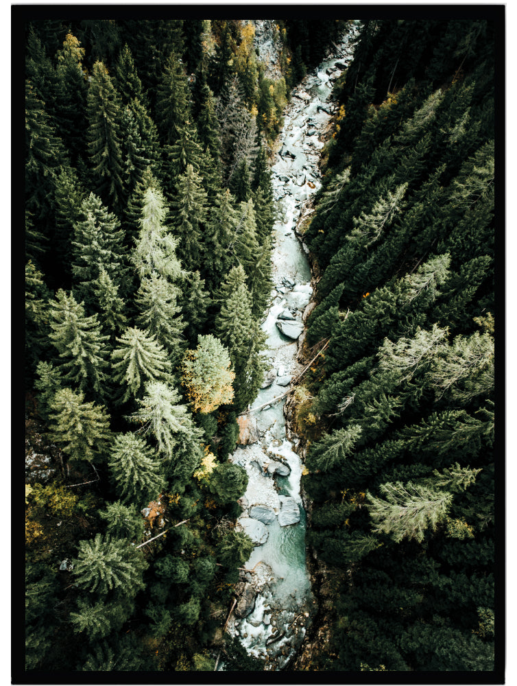 Poster River in forest