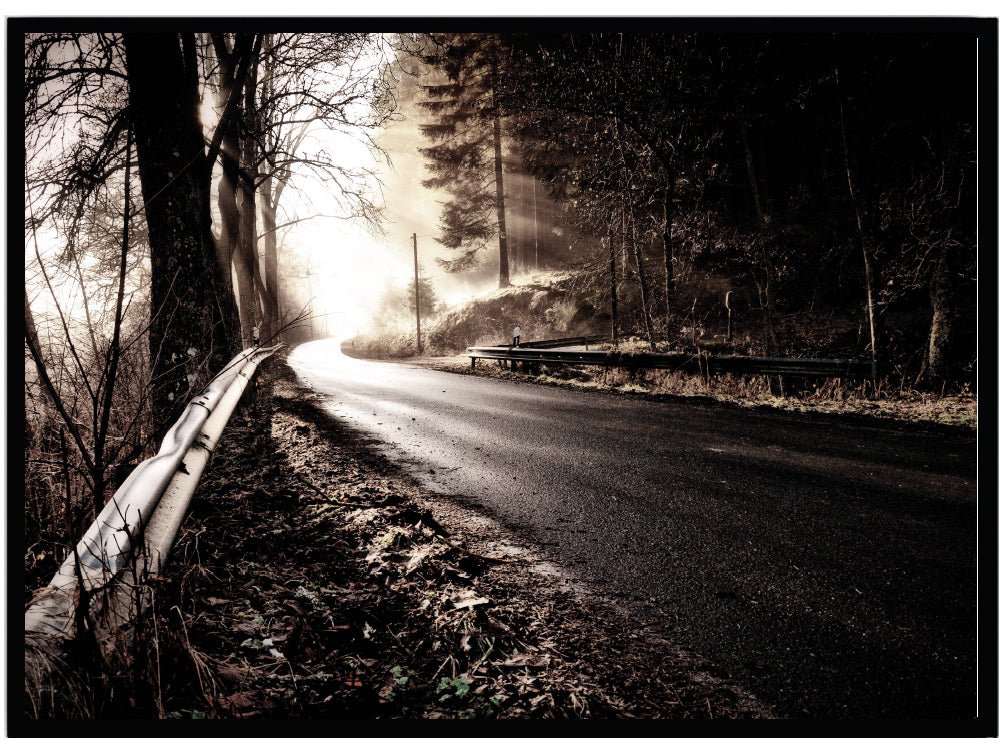 Poster Forest dream - Dekortorget