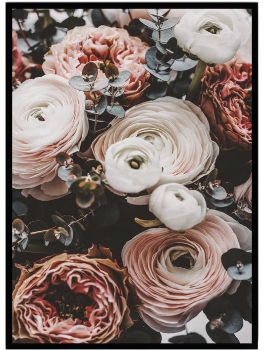 Poster Ranunkel - Dekortorget