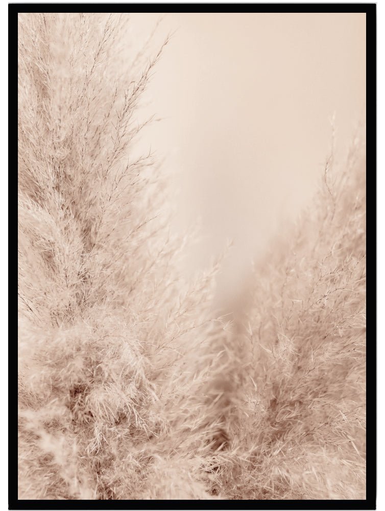 Poster Pampas - Dekortorget