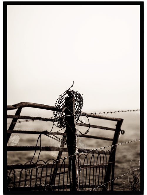 Poster Woodland 2 - Dekortorget