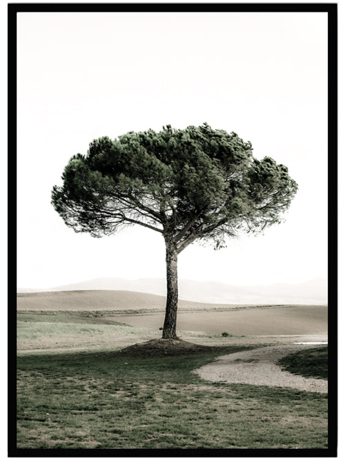 Poster Tree