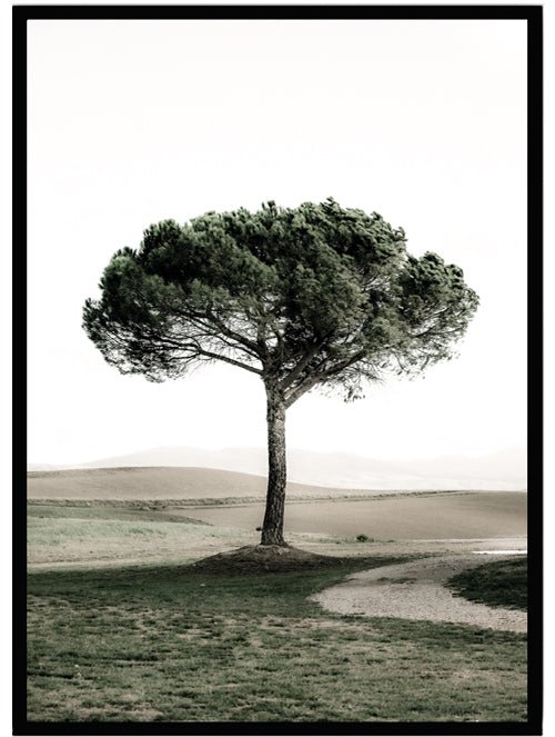 Poster Tree - Dekortorget