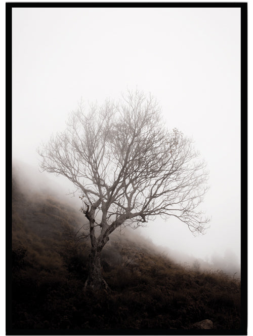 Poster Woodland 3