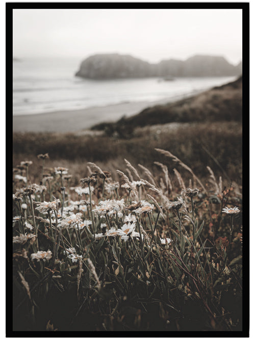 Poster Woodland by the sea