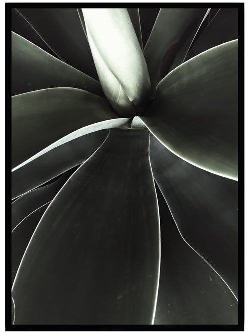 Poster Green - Dekortorget