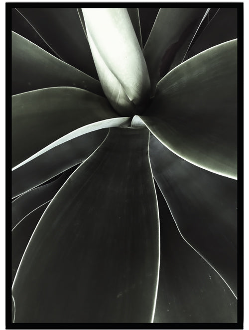 Poster Green
