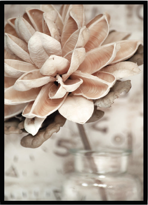 Poster dry flower in glas